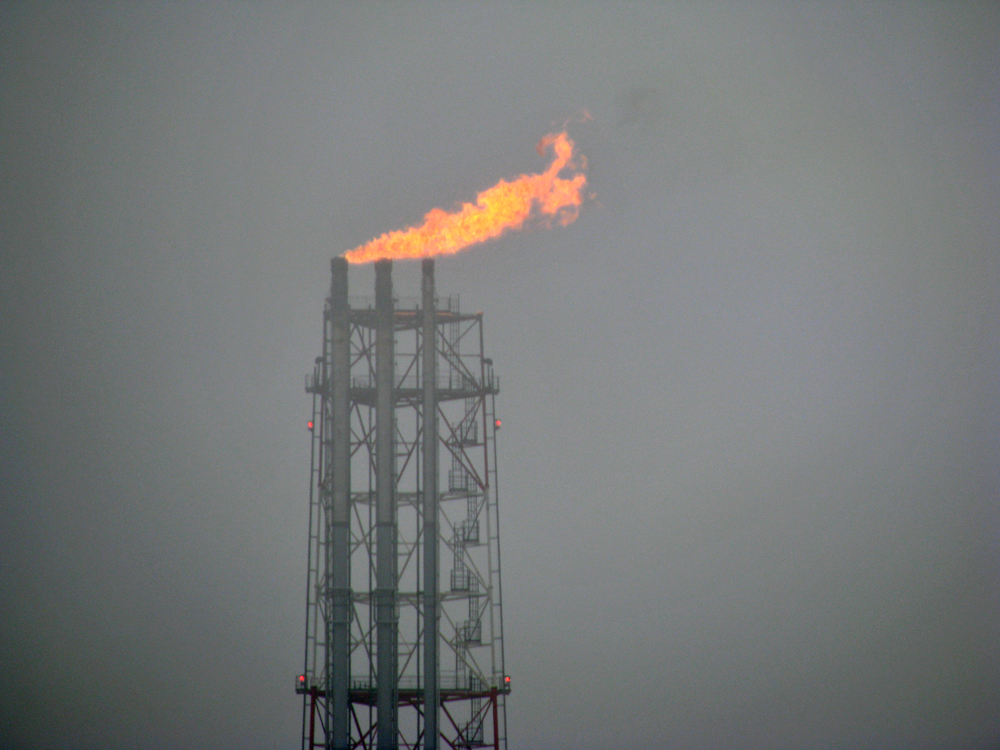 Комплексные экологические и биологические исследования