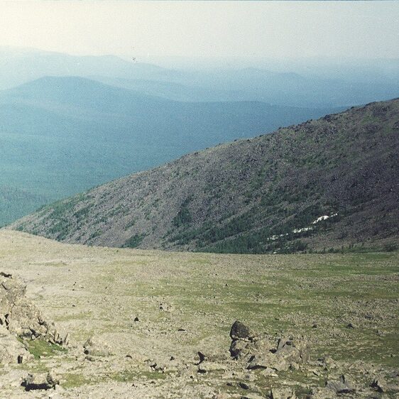 лаборатория экологических исследований