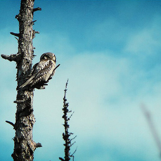 лаборатория экологических исследований
