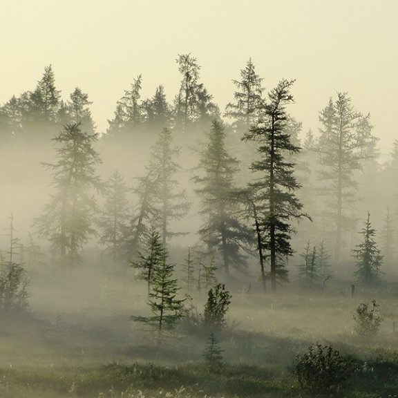 лаборатория экологических исследований
