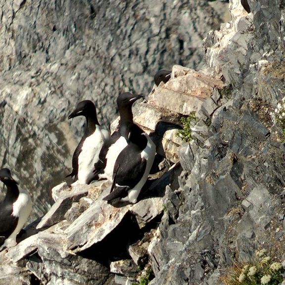 лаборатория экологических исследований