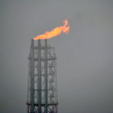 Комплексные экологические и биологические исследования