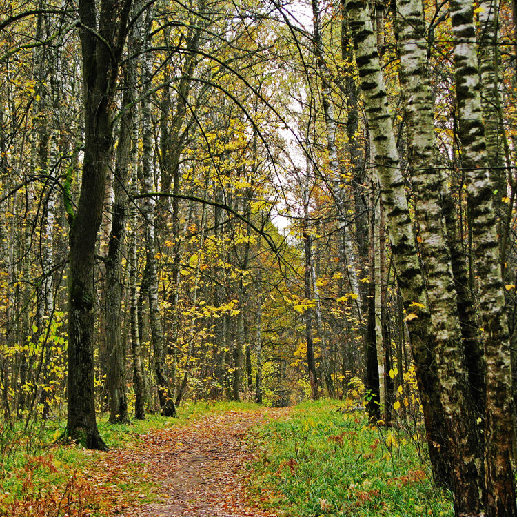 лаборатория экологических исследований
