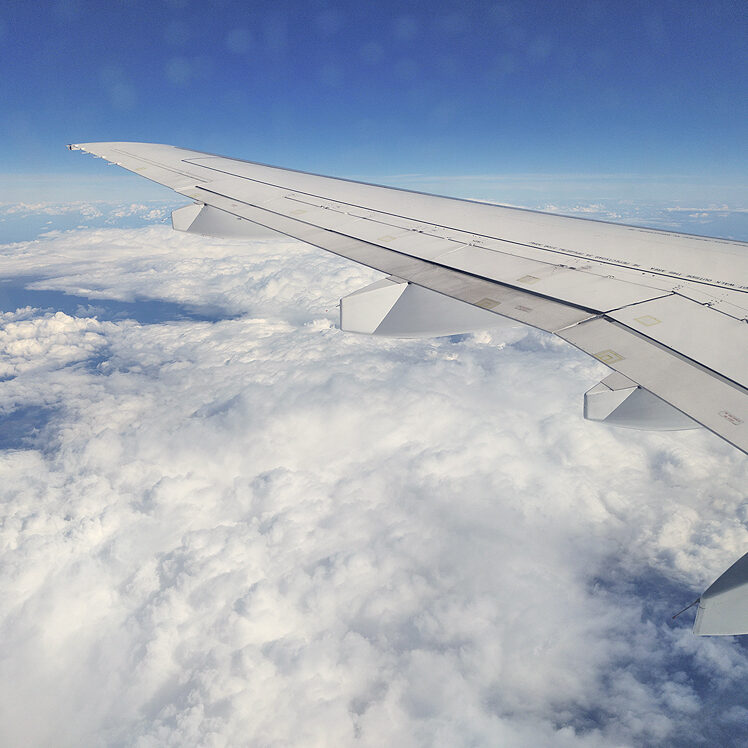 Эколого-орнитологические исследования