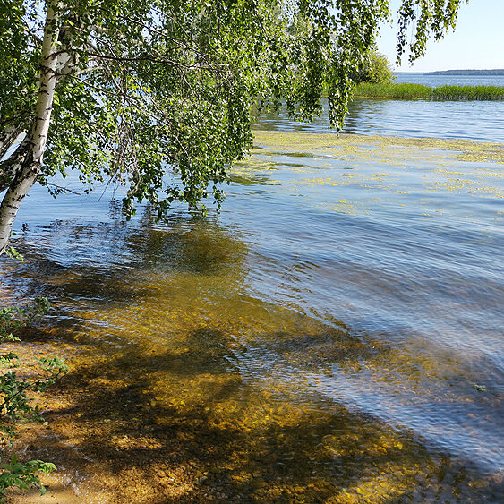 лаборатория экологических исследований