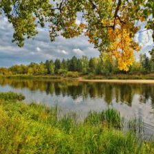 лаборатория экологических исследований