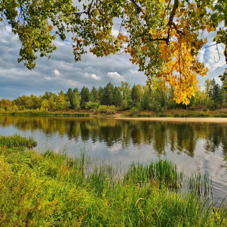 лаборатория экологических исследований