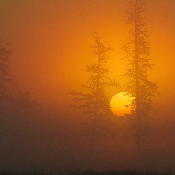 лаборатория экологических исследований