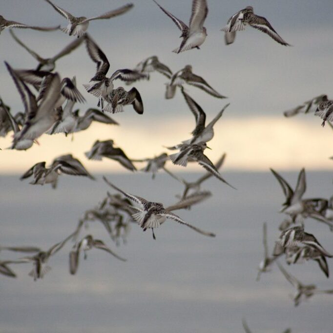 лаборатория экологических исследований