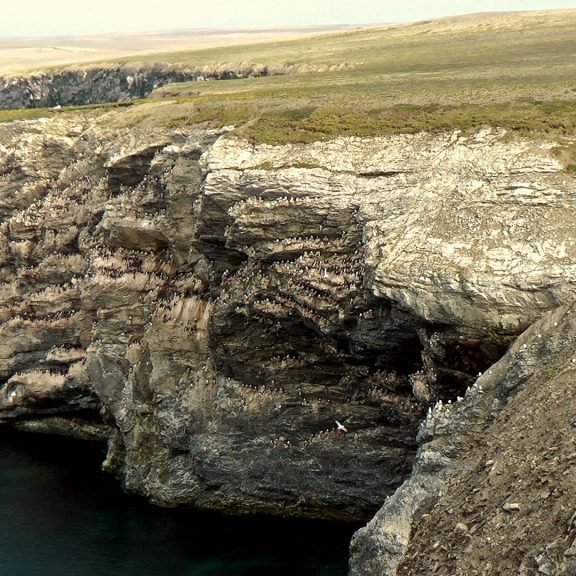 лаборатория экологических исследований