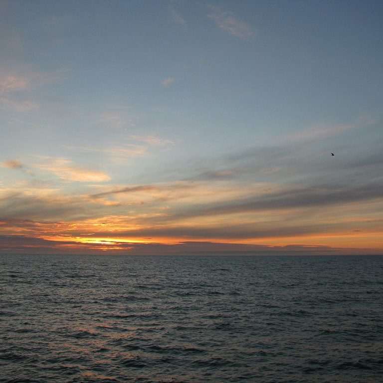 лаборатория экологических исследований