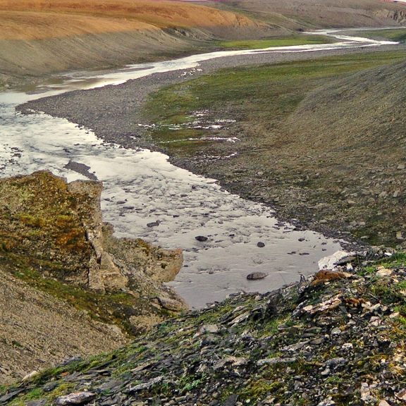 лаборатория экологических исследований