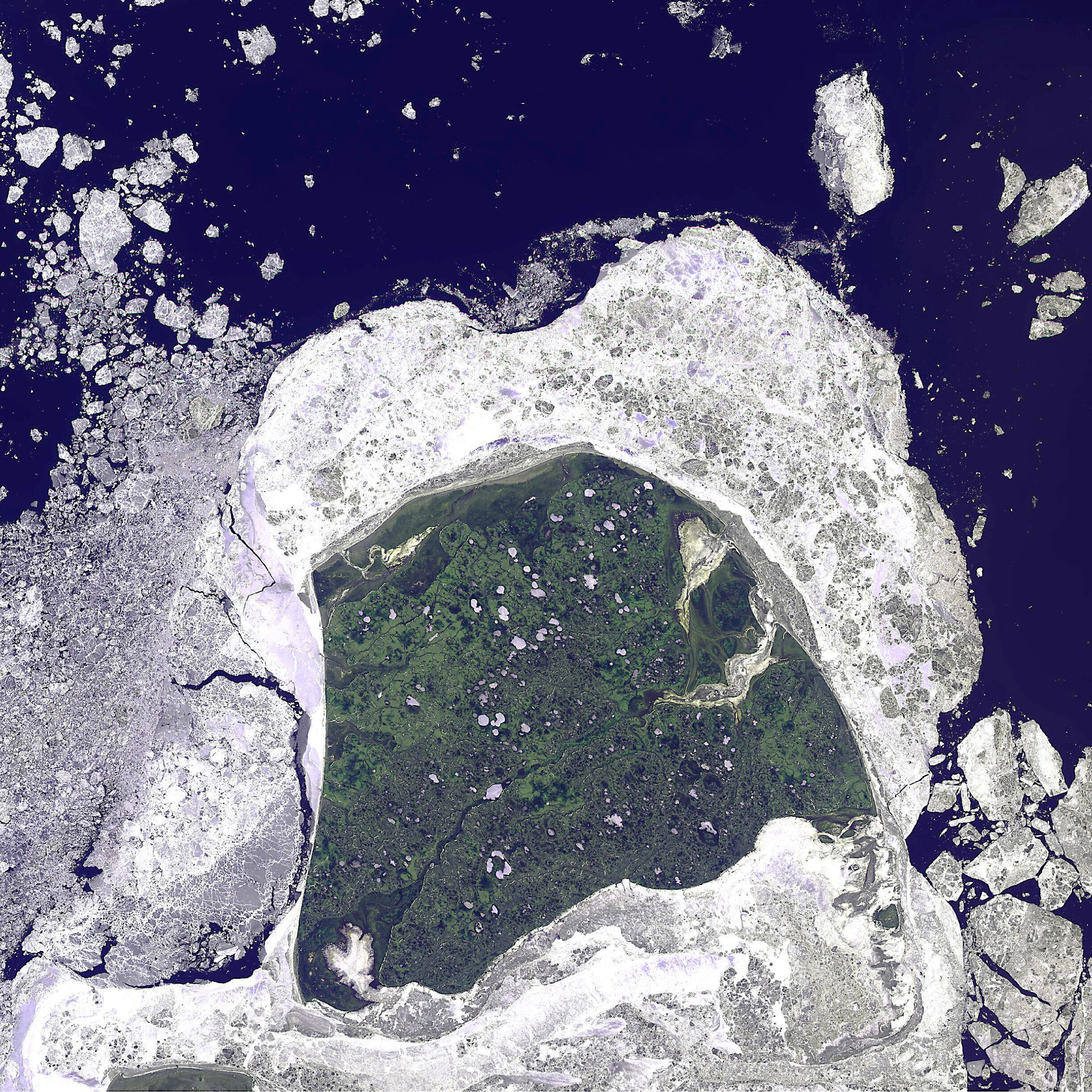 лаборатория экологических исследований