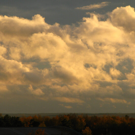 Лаборатория-экологических-исследований-4
