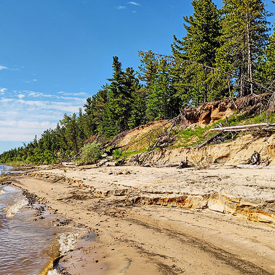 лаборатория экологических исследований
