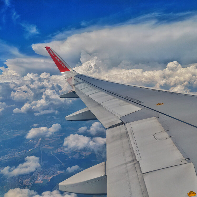 Эколого-орнитологические исследования