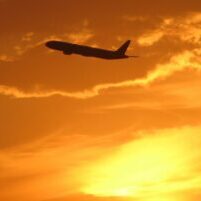 Эколого-орнитологические-исследования-