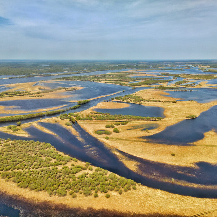 лаборатория экологических исследований