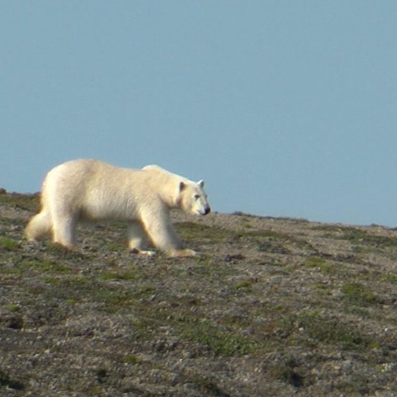 лаборатория экологических исследований